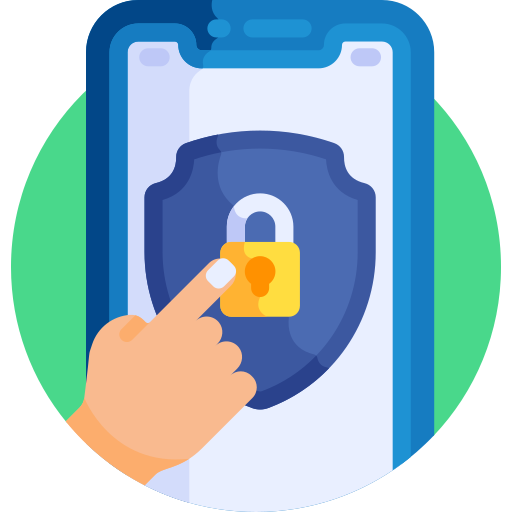 Security/Fraud Protection